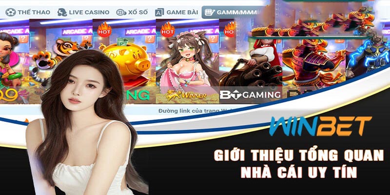 Giới Thiệu Các dịch vụ và sản phẩm của Winbet